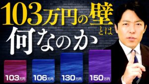 【103万円の壁とは何なのか】複雑な4つの壁を解説！年収の壁引き上げで、国民の暮らしはどうなるのか？